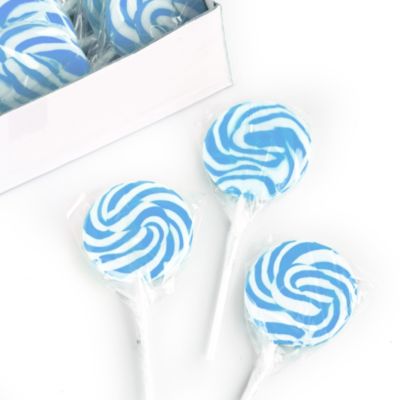Blueberry Swirl Lollipops - Bridal Shower Candy - 24 ct