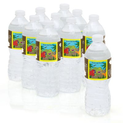 Dinosaur Birthday - Personalized Birthday Party Water Bottle Label Favors