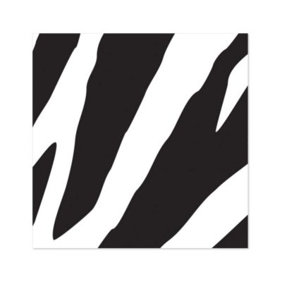 Zebra - Baby Shower Beverage Napkins - 16 ct