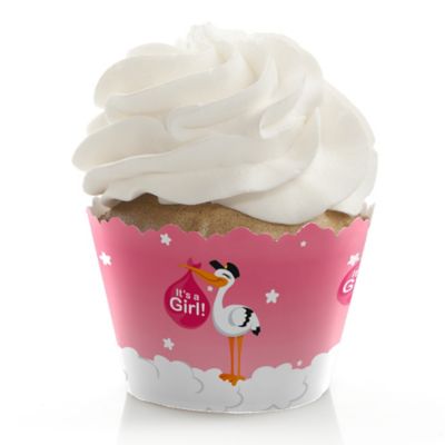 Girl Special Delivery Pink Stork Baby Shower Decorations Party